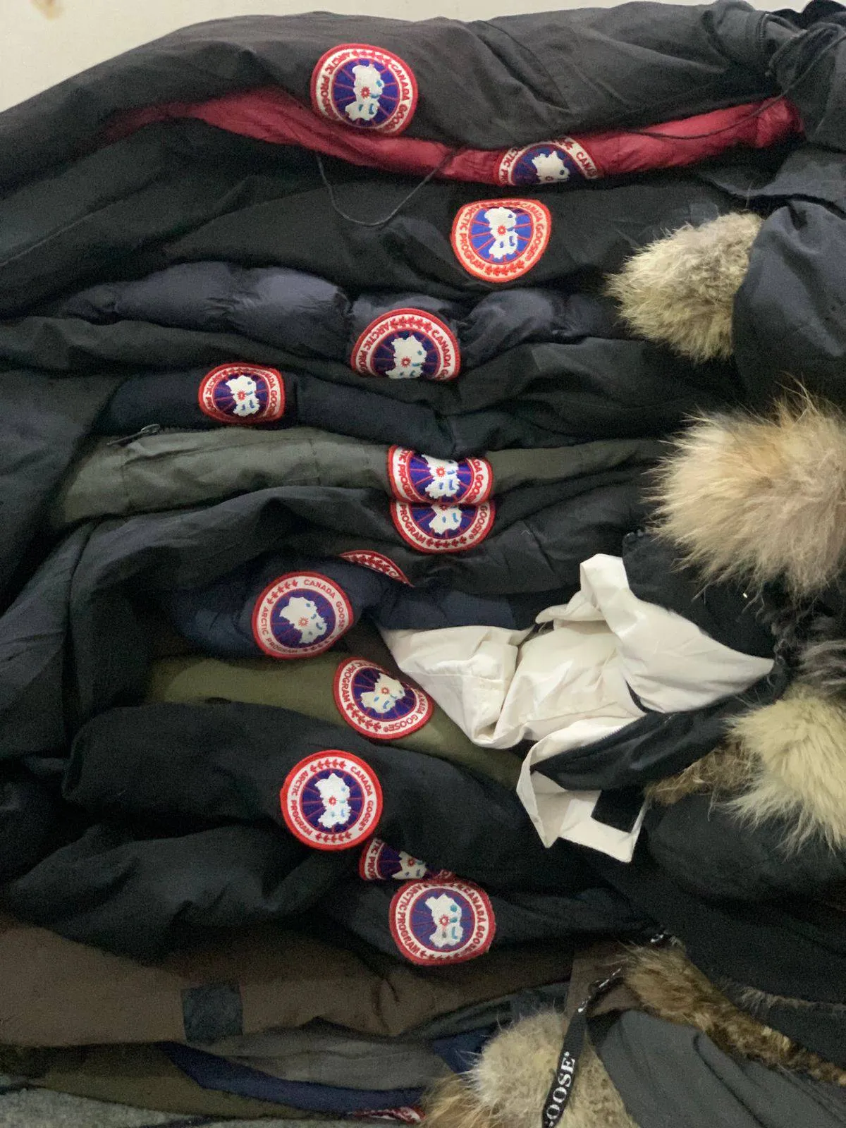 Authentic Canada goose jackets