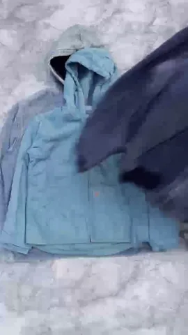 Carhartt Jackets  5 Piec