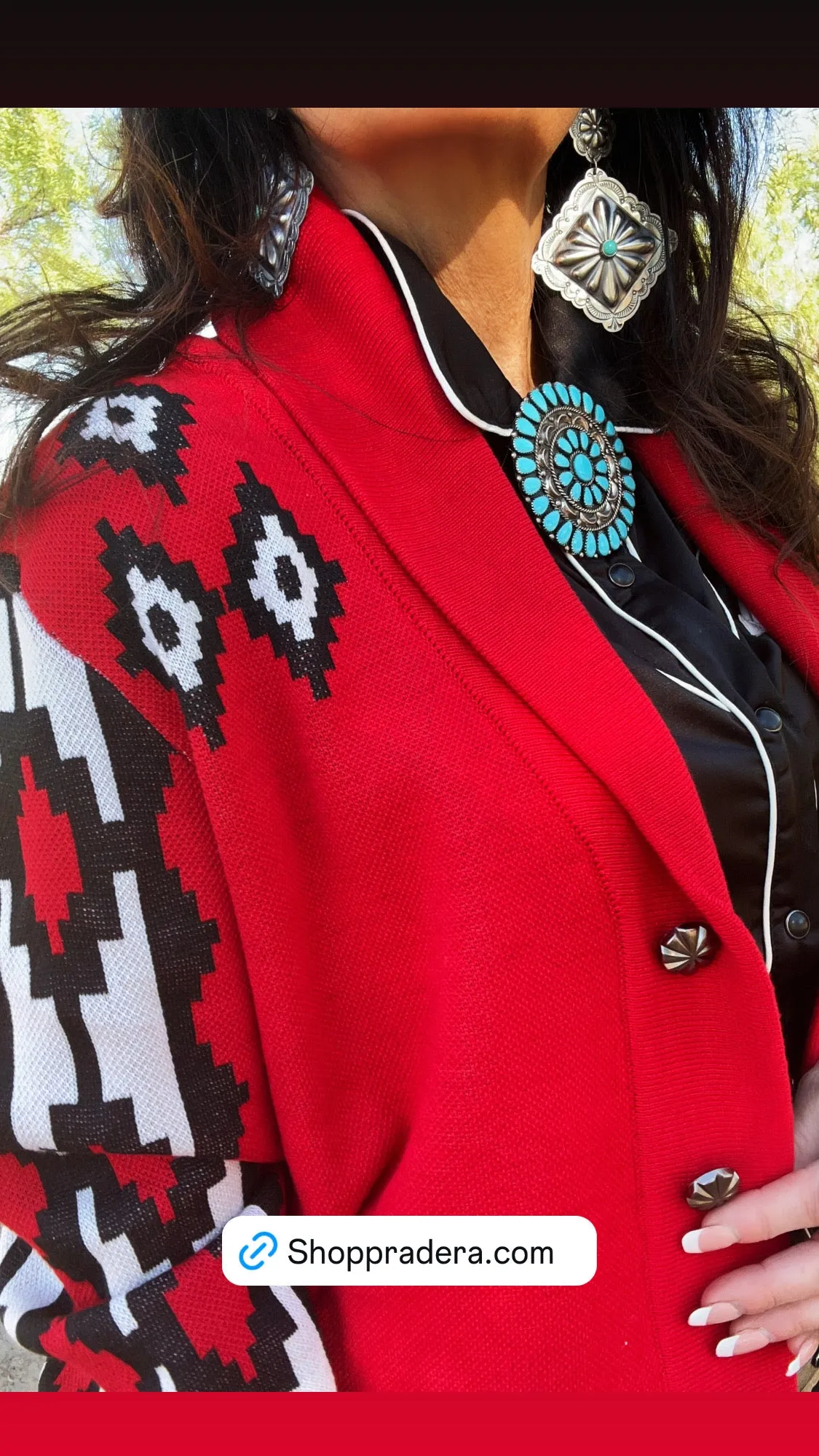 Roja Southwest Sweater