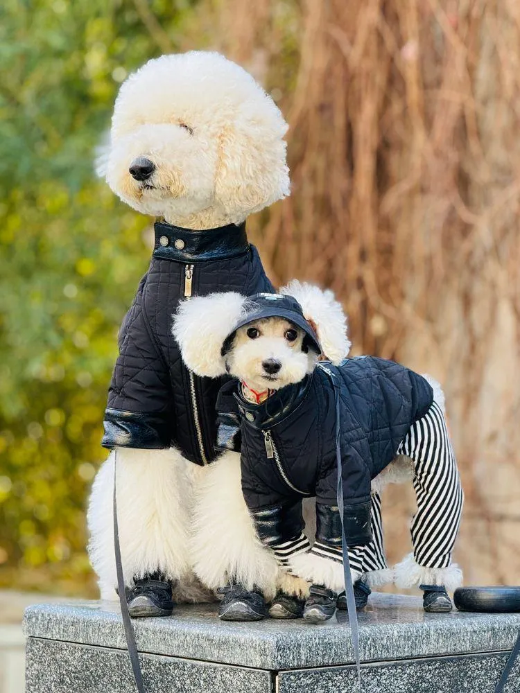 Shadow Quilted Jacket