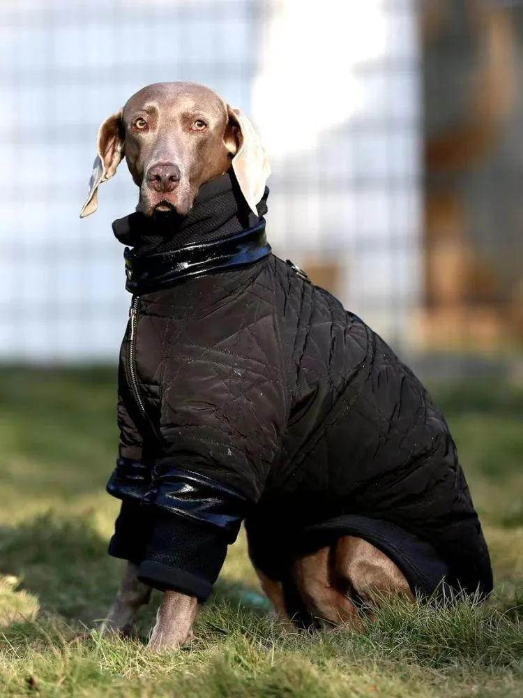 Shadow Quilted Jacket