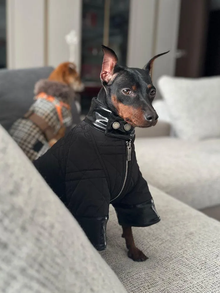 Shadow Quilted Jacket