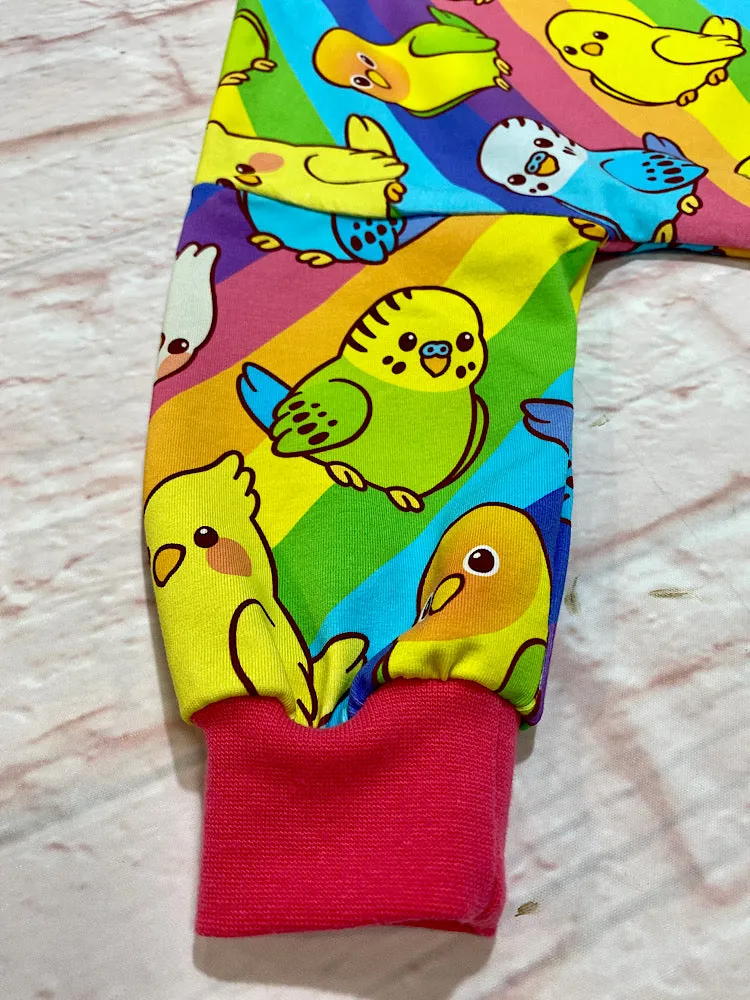 Size 18-24m Sweater Romper - Rainbow Budgies