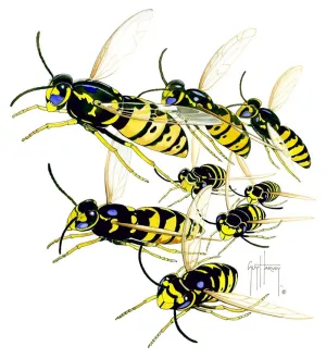 YELLOW JACKETS